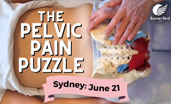 The Pelvic Pain Puzzle - Sydney